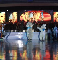 посвящение олимпиаде 2014